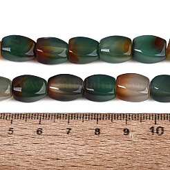 Natural Peacock Agate Beads Strands&nbsp;G-N362-19A-01