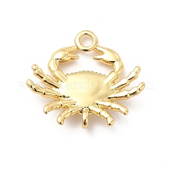 Rack Plating Brass Pendants&nbsp;KK-K270-30G