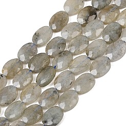 Natural Labradorite Beads Strands&nbsp;G-H349-A01-03