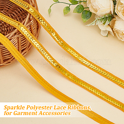 Sparkle Polyester Lace Ribbons&nbsp;OCOR-WH0090-67C
