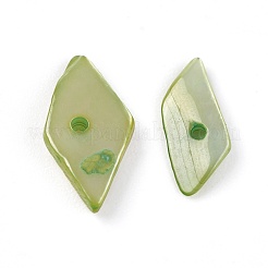 Shell Beads&nbsp;BSHE-I008-13