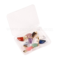 10Pcs 10 Style Natural Gemstone Pendants&nbsp;G-LS0002-14