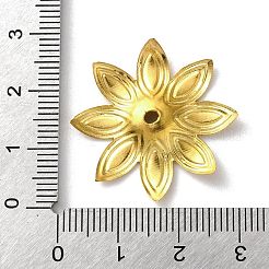 Iron Bead Caps&nbsp;IFIN-C060-04KCG