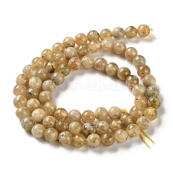 Natural Yellow Garnet Beads Strands&nbsp;G-Z129-C01-6mm-01