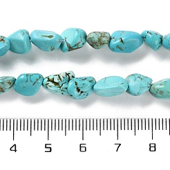 Dyed & Heated Natural Turquoise Beads Strands&nbsp;X-G-P497-01C-17