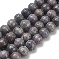 Natural Iolite Beads Strands&nbsp;G-C259-B06-8mm