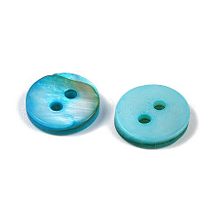 Freshwater Shell Buttons&nbsp;SHEL-C005-01C-11