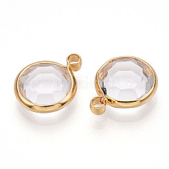 K9 Glass Charms&nbsp;X1-GLAA-T023-37A-02
