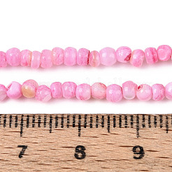 Natural Freshwater Shell Dyed Beads Strands&nbsp;SHEL-T020-29B-07