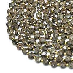 Natural Labradorite Beads Strands&nbsp;G-C116-A50-02