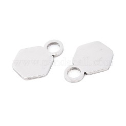 304 Stainless Steel Charms&nbsp;LS-STAS-T070-13P