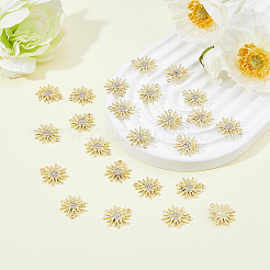 30Pcs Alloy Pendant&nbsp;FIND-FH0008-94