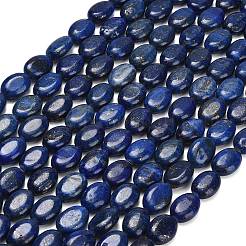 Dyed Natural Lapis Lazuli Beads Strands&nbsp;G-P610-A01-01