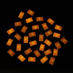 Cookie Luminous Resin Cabochons&nbsp;CRES-T026-02E
