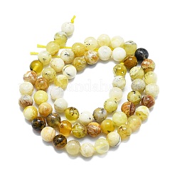 Natural Yellow Opal Beads Strands&nbsp;G-K245-A07-B03