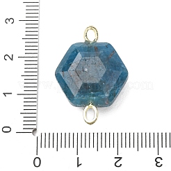 Faceted Natural Apatite Carved Links&nbsp;G-T146-01G-07