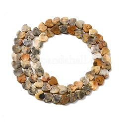 Natural Crazy Agate Beads Strands&nbsp;G-A272-A01-26