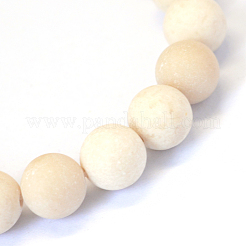 Frosted Natural Fossil Round Bead Strands&nbsp;X-G-E334-8mm-22