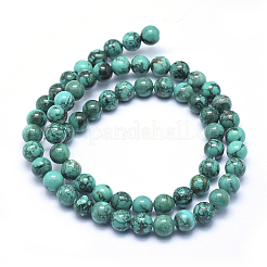 Natural Turquoise Beads Strands&nbsp;X-TURQ-G148-06-6mm