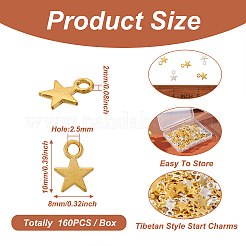 Tibetan Style Alloy Charms&nbsp;TIBEP-PJ0001-01
