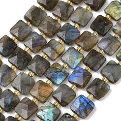 Natural Mixed Gemstone Beads Strands&nbsp;G-L642-L01-10mm