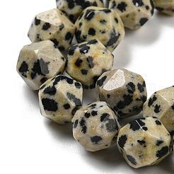 Natural Dalmatian Jasper Beads Strands&nbsp;G-C085-A07-01