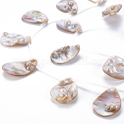 Shell Pearl Pendants&nbsp;SSHEL-N032-38