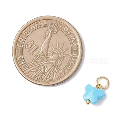Opaque Acrylic Pendants&nbsp;PALLOY-JF04506-02