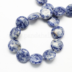 Natural Blue Spot Jasper Bead Strands&nbsp;G-S110-13