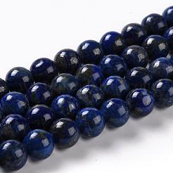 Natural Dyed Lapis Lazuli Bead Strands&nbsp;G-G953-04-10mm