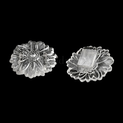 Transparent Acrylic European Beads&nbsp;TACR-G048-25