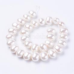 Shell Pearl Beads Strands&nbsp;BSHE-L035-E03