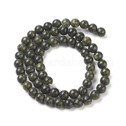 Natural Serpentine/Green Lace Stone Beads Strands&nbsp;G-S259-15-6mm-1