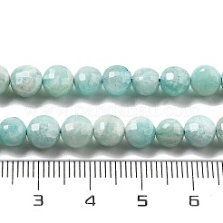 Natural Amazonite Beads Strands&nbsp;G-C179-J01-01