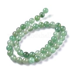 Natural Green Aventurine Beads Strands&nbsp;X-G-Q462-8mm-20A