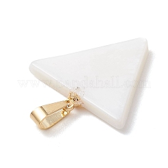 Natural Freshwater Shell Pendants&nbsp;PALLOY-JF05137