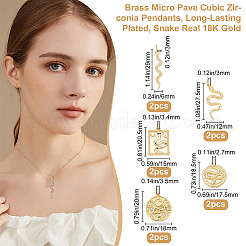 Brass Micro Pave Clear Cubic Zirconia Charms&nbsp;ZIRC-BBC0001-02