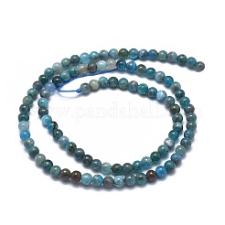 Natural Apatite Beads Strands&nbsp;G-I254-08A