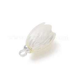 Natural Trochus Shell Pendants&nbsp;PALLOY-JF05371