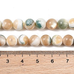Natural Shell Beads Strands&nbsp;SH-CBA4F3D-01