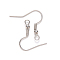 Tarnish Resistant 304 Stainless Steel Earring Hooks, Ear Wire, with Horizontal Loop, Cadmium Free & Nickel Free & Lead Free, Stainless Steel Color, 20~22x22mm, Hole: 2mm, 21 Gauge, Pin: 0.7mm