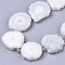 Electroplated Natural Quartz Beads Strands, Solar Quartz, Flower, White, 12~25x12~25x5mm, Hole: 1.2mm, about 8~10pcs/strand, 7.87 inch(20cm)