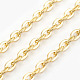 Iron Cable Chains&nbsp;CH-1.0PYSZ-G-1