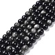 Natural Silver Obsidian Beads Strands&nbsp;G-D083-01B-1
