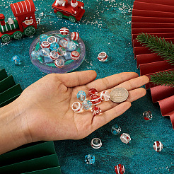 30Pcs 6 Style Handmade Bumpy Lampwork Beads&nbsp;LAMP-CD0001-19