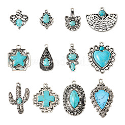 24Pcs 12 Styles Synthetic Turquoise Pendants&nbsp;FIND-TA0001-79