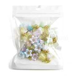 16Pcs Acrylic Pendants&nbsp;PALLOY-FS00075