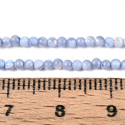 Dyed Natural Trochid Shell/Trochus Shell Beads Strands&nbsp;SSHEL-T017-13A