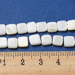 Natural Freshwater Shell Beads Strands&nbsp;SHEL-C005-05