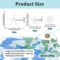 Resin Display Decorations&nbsp;AJEW-OC0014-09